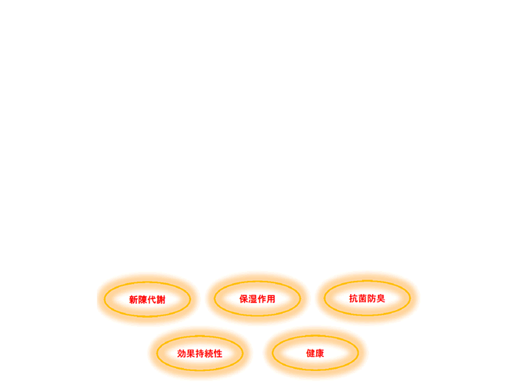 �R���[�Q�����H�̓���